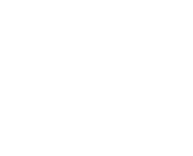 White beetle